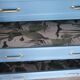 RELOUKEE SOLID WOOD CHEST OF DRAWERS