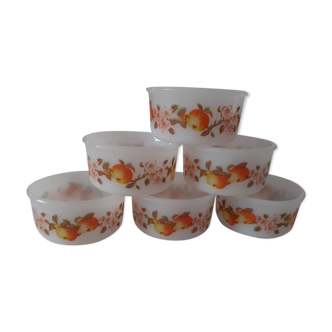 6 ramekins cups apple decoration normandy pattern arcopal france