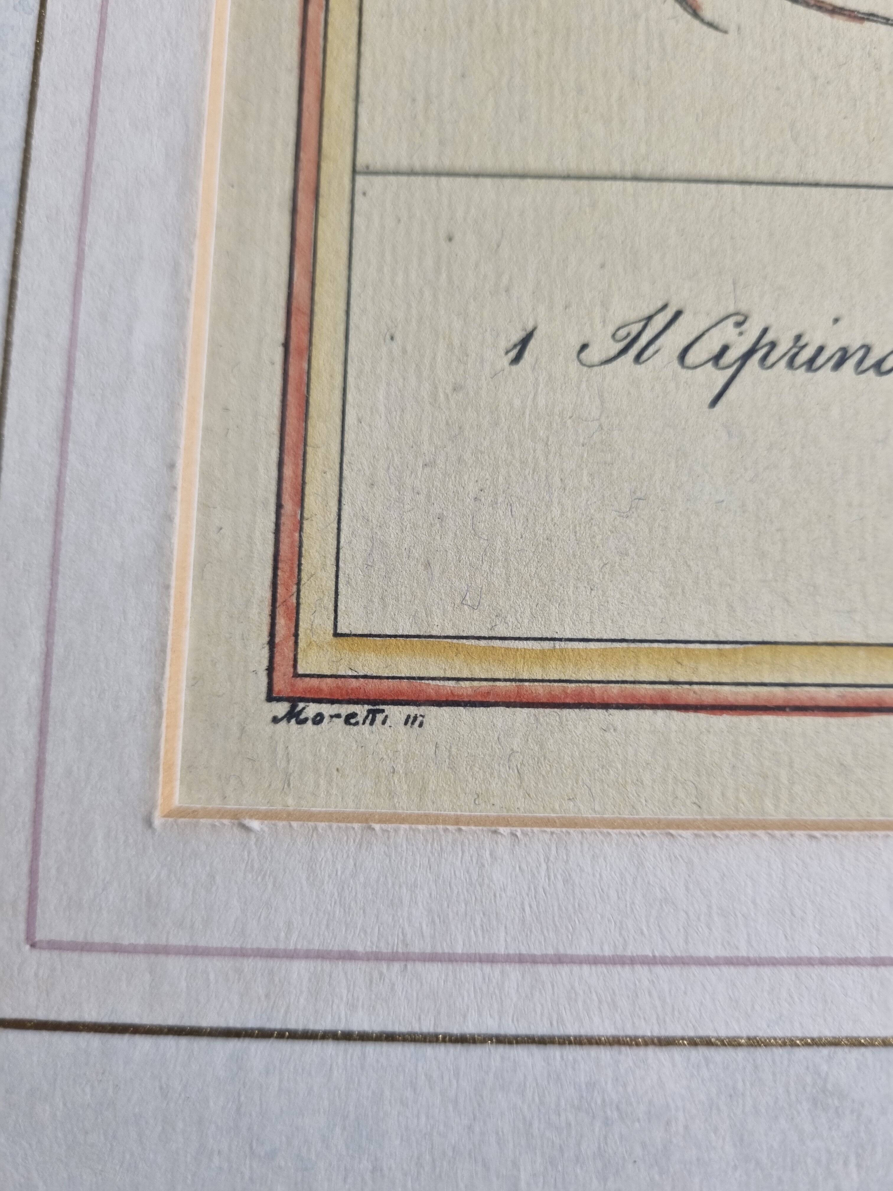 Ichthyological plate after Buffon, nineteenth century, framed