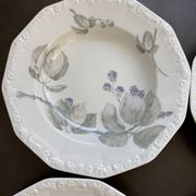 6 Rosenthal soup plates
