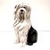 Vintage Italian design hand painted ceramic dog