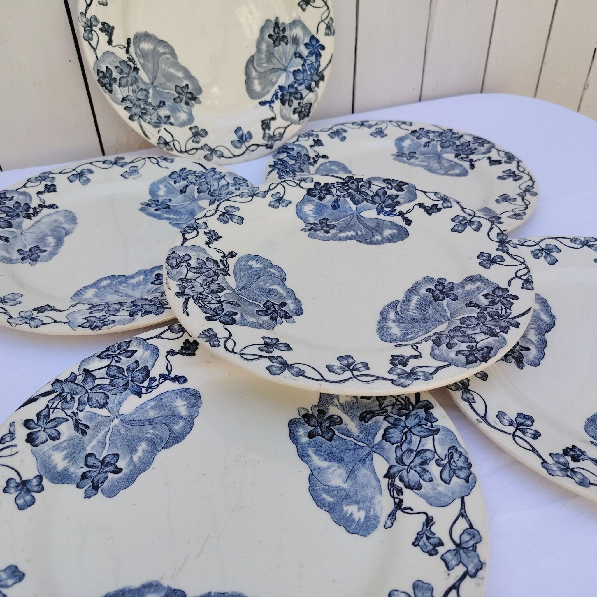 Plates, the salt shakers model the violets, ironstone.