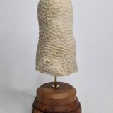 Ancien corail oblong sur socle en bois 24 cm