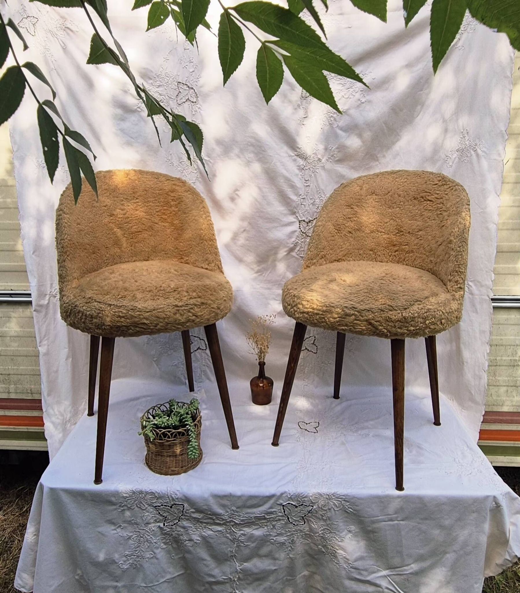 2 Scandinavian chairs with compass legs in faux fur and blue satin covers, 1970.