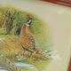 Pheasant painting