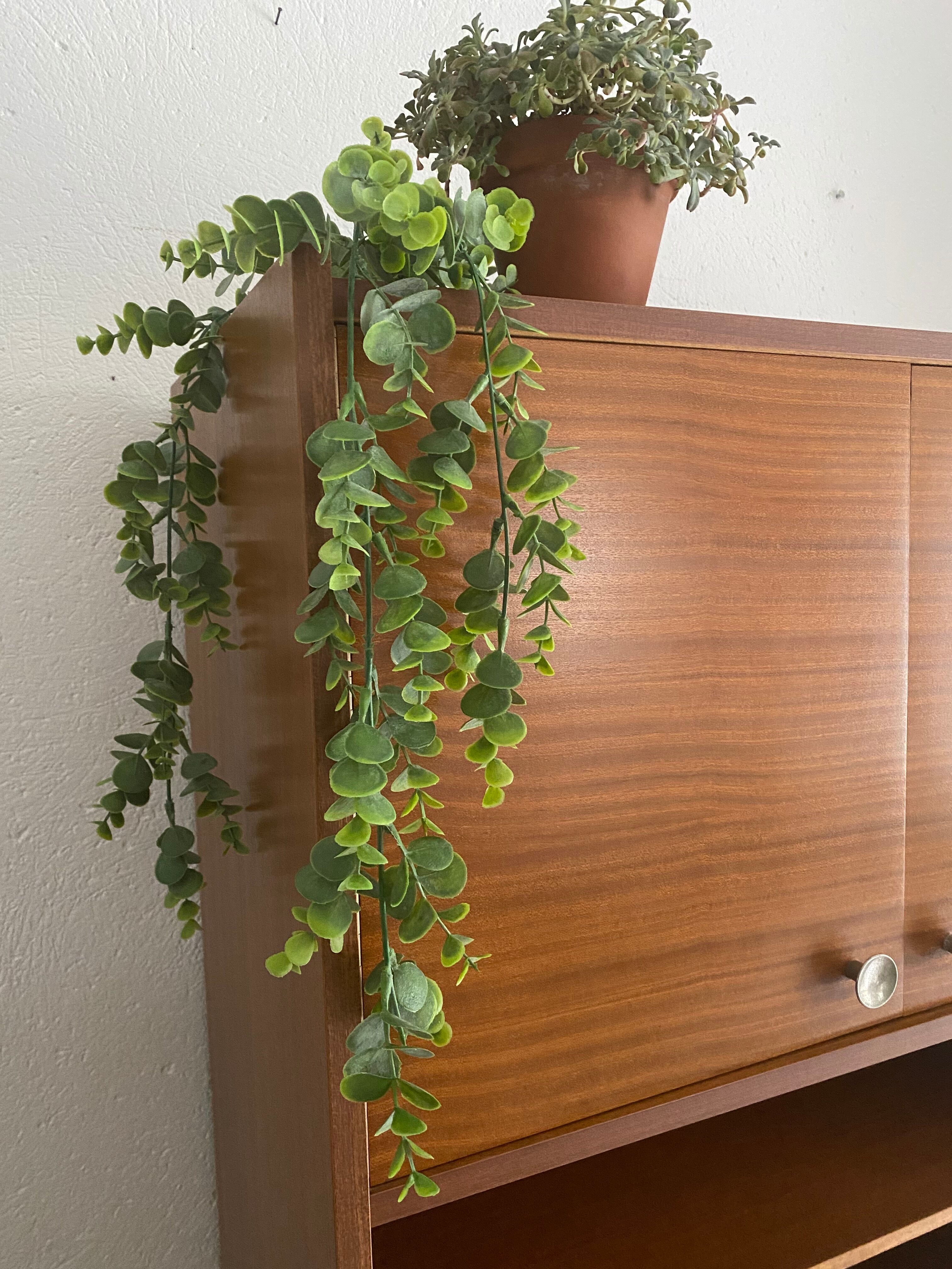 Vintage wardrobe 60 years