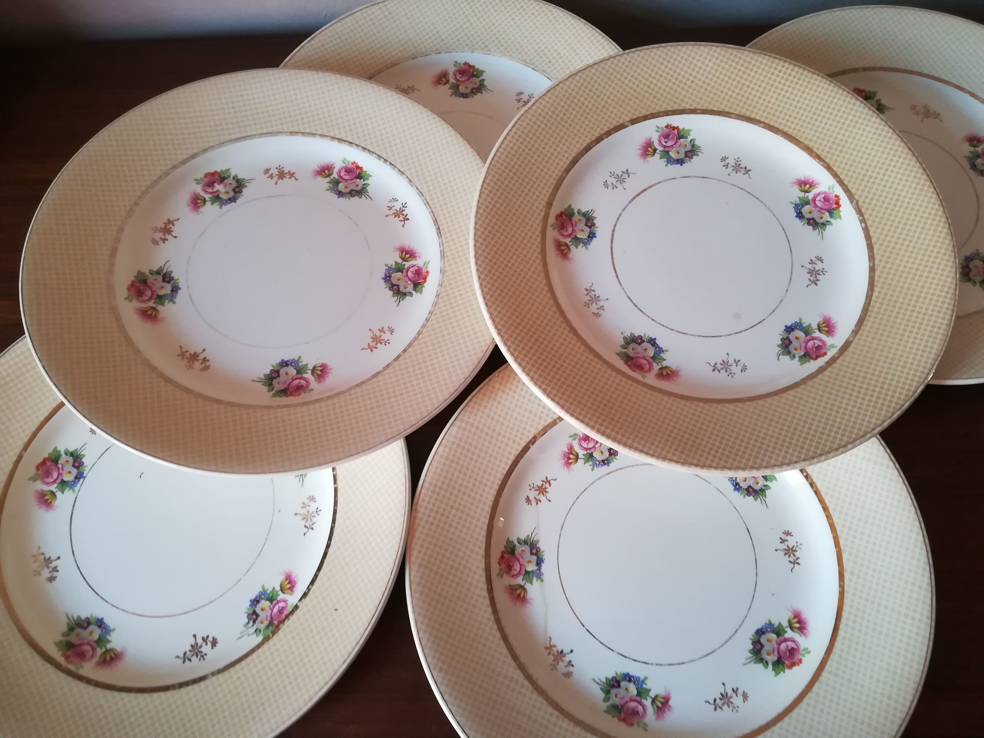 6 earthenware plates by Salins