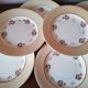 6 earthenware plates by Salins