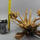 Gilt metal wheat sheaf two-light wall sconce