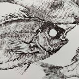 Framed art print, "Print of a school of sea bream" (gyotaku)