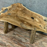 School of parks and gardens in tree root and driftwood circa 1960-1970