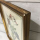 Gravure botanique