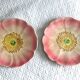 Pair of slipware plates – Art Nouveau floral decoration