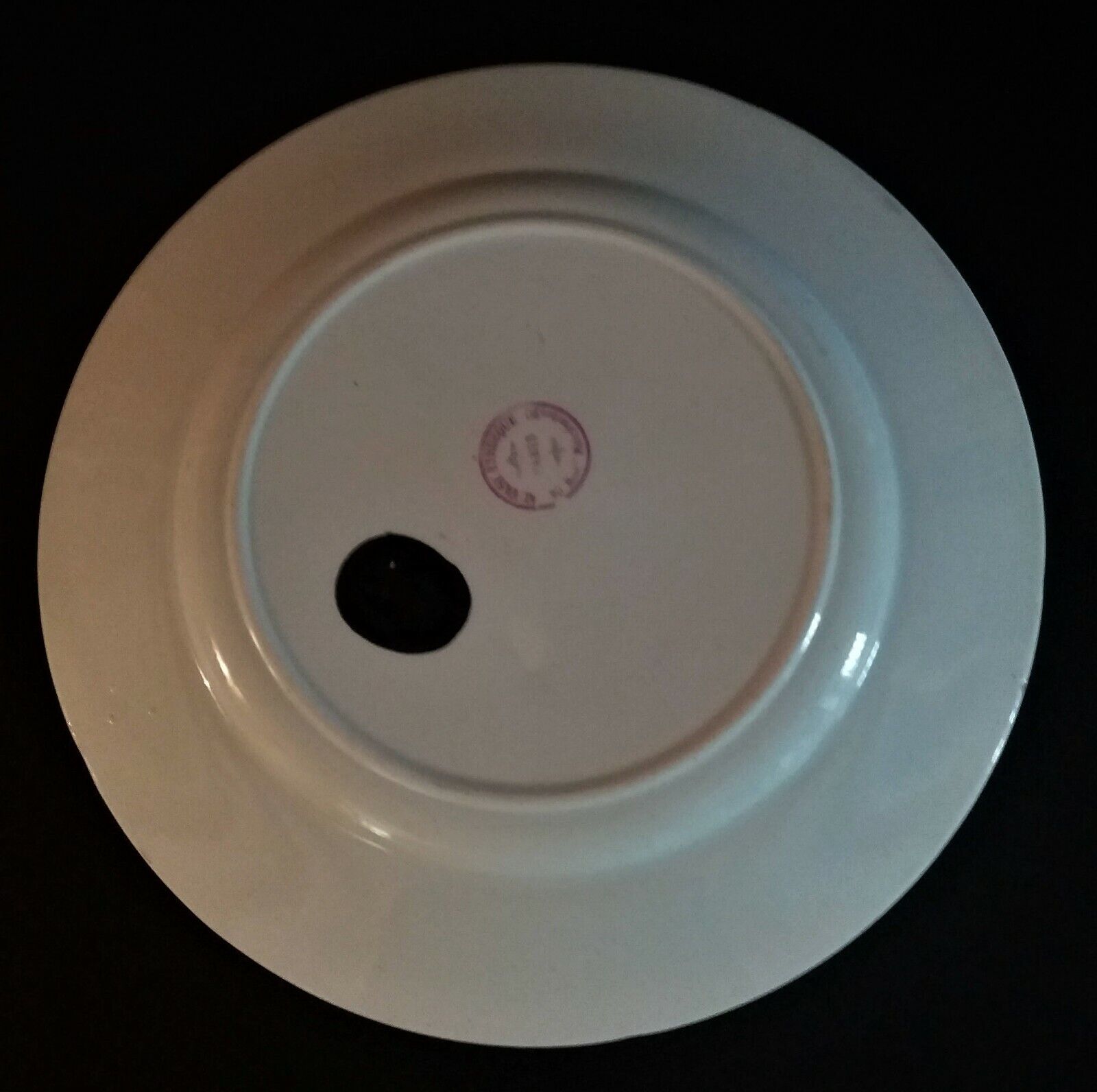 Flat earthenware plate by choisy le roi for au vase étrusque paris