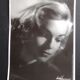 Photography Harcourt Simone Signoret