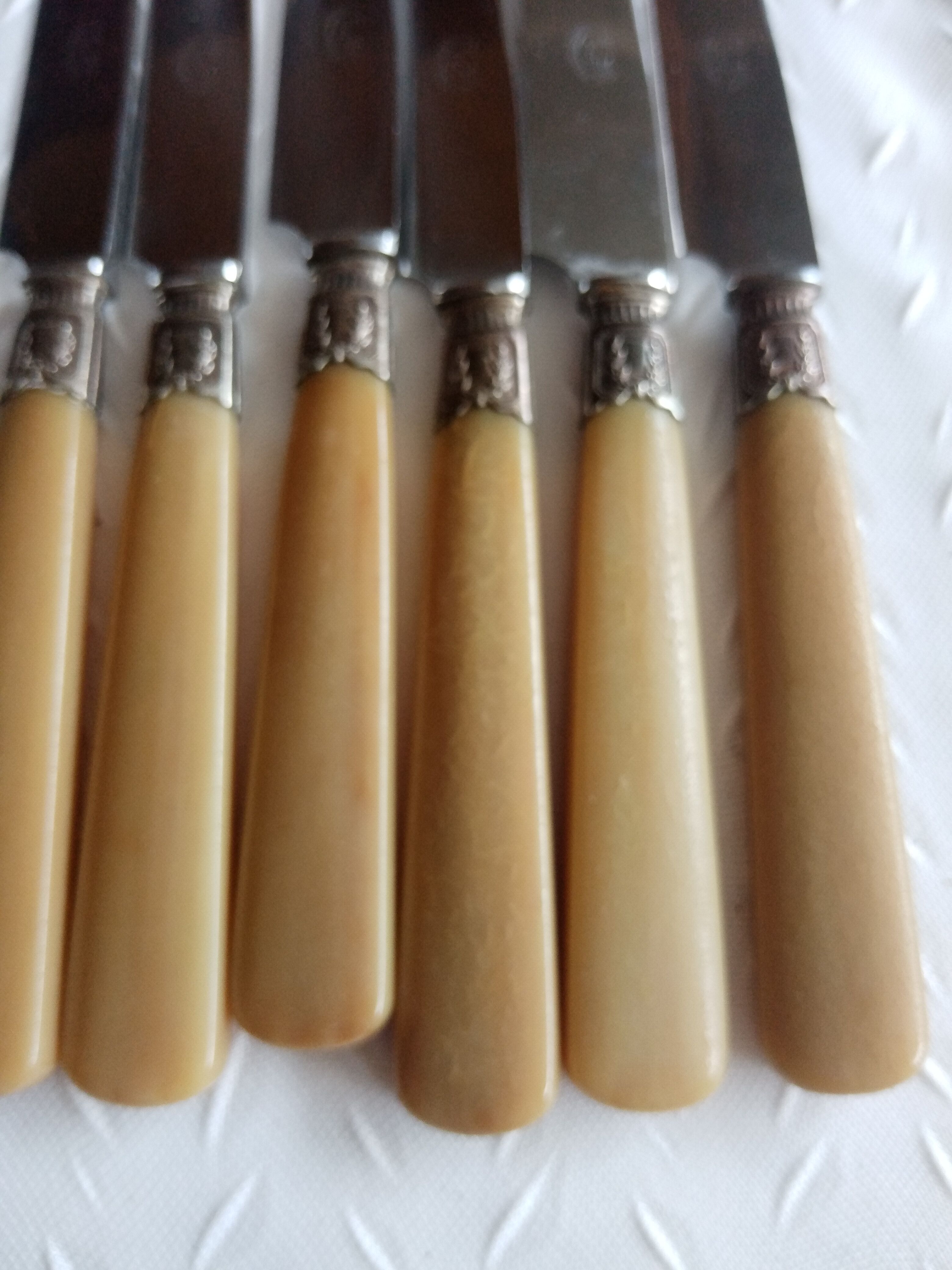 12 Old horn knives and stainless steel blades, Laurier decorative virole