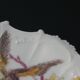 6 Limoges porcelain dessert plates 1900 - Bird decor