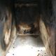 Old wood stove XIX th fully restored