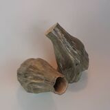vases