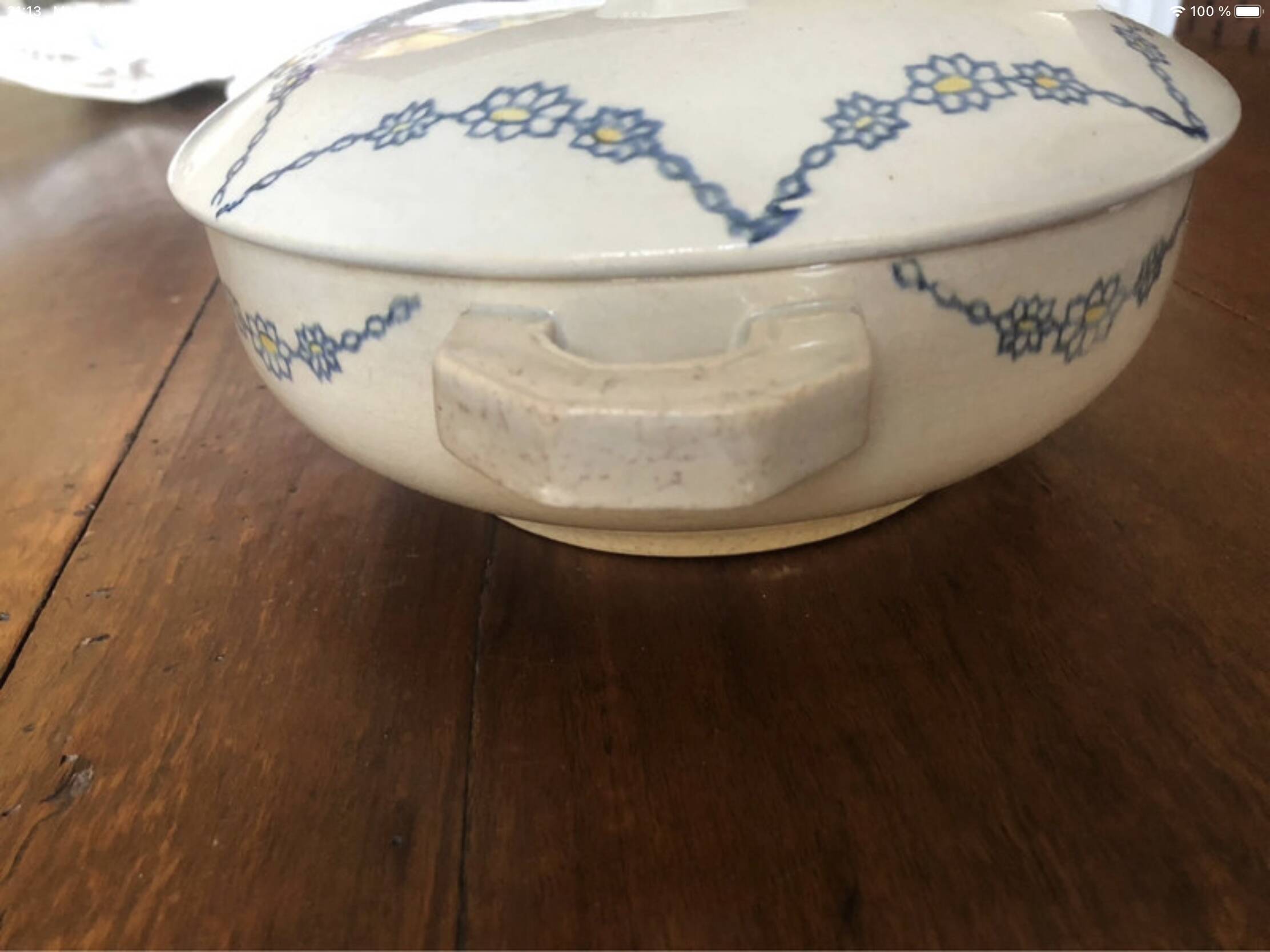 Vegetable dish with lid