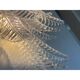 Transparent “Felci” Murano Glass Sconces – A Pair