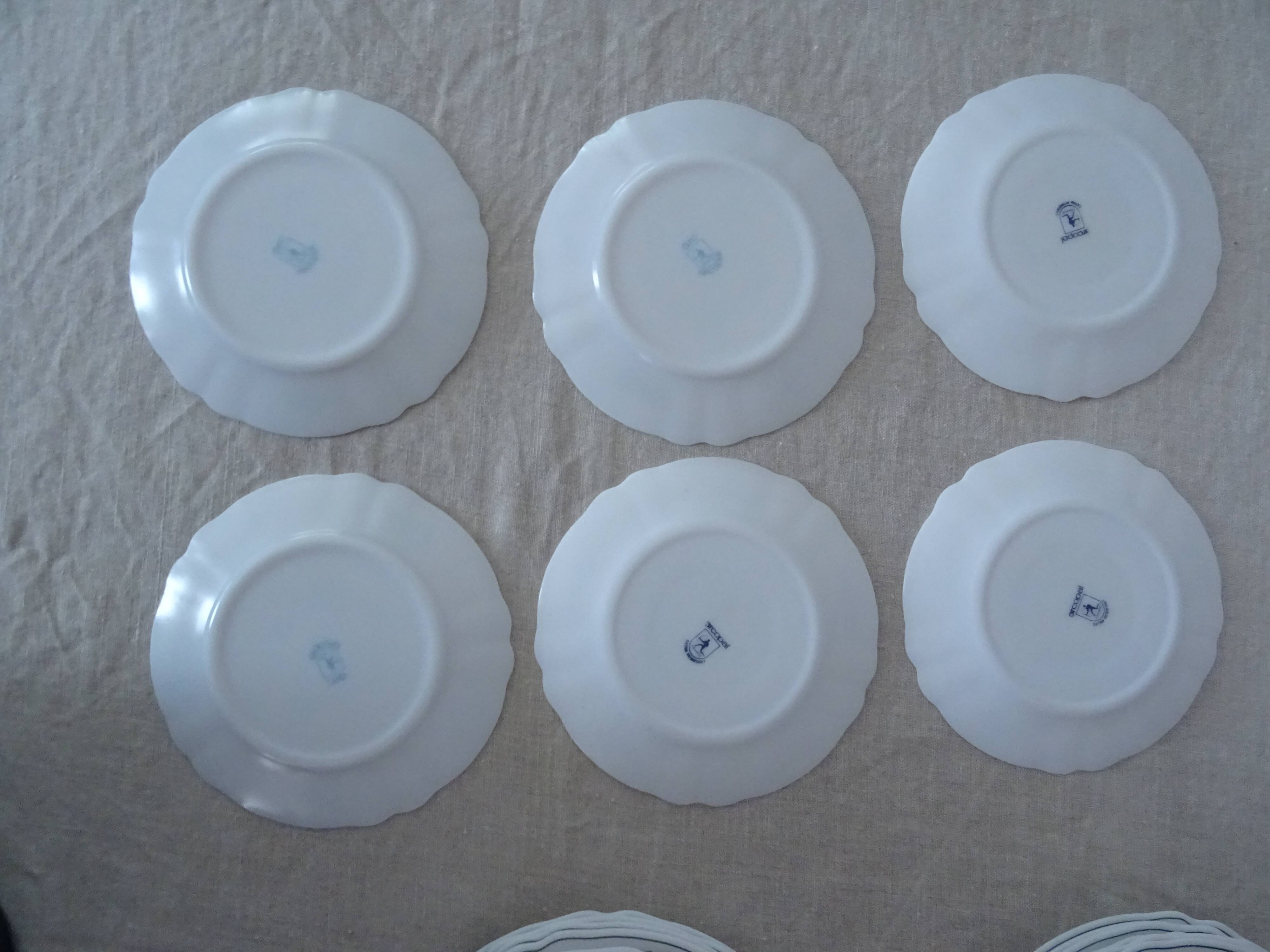 18 plates ronsard, flowers Arcopal 6 x plate hollow dessert