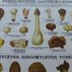 Educational poster DEYROLLE