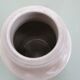 Former Damoy Paris sandstone mustard pot