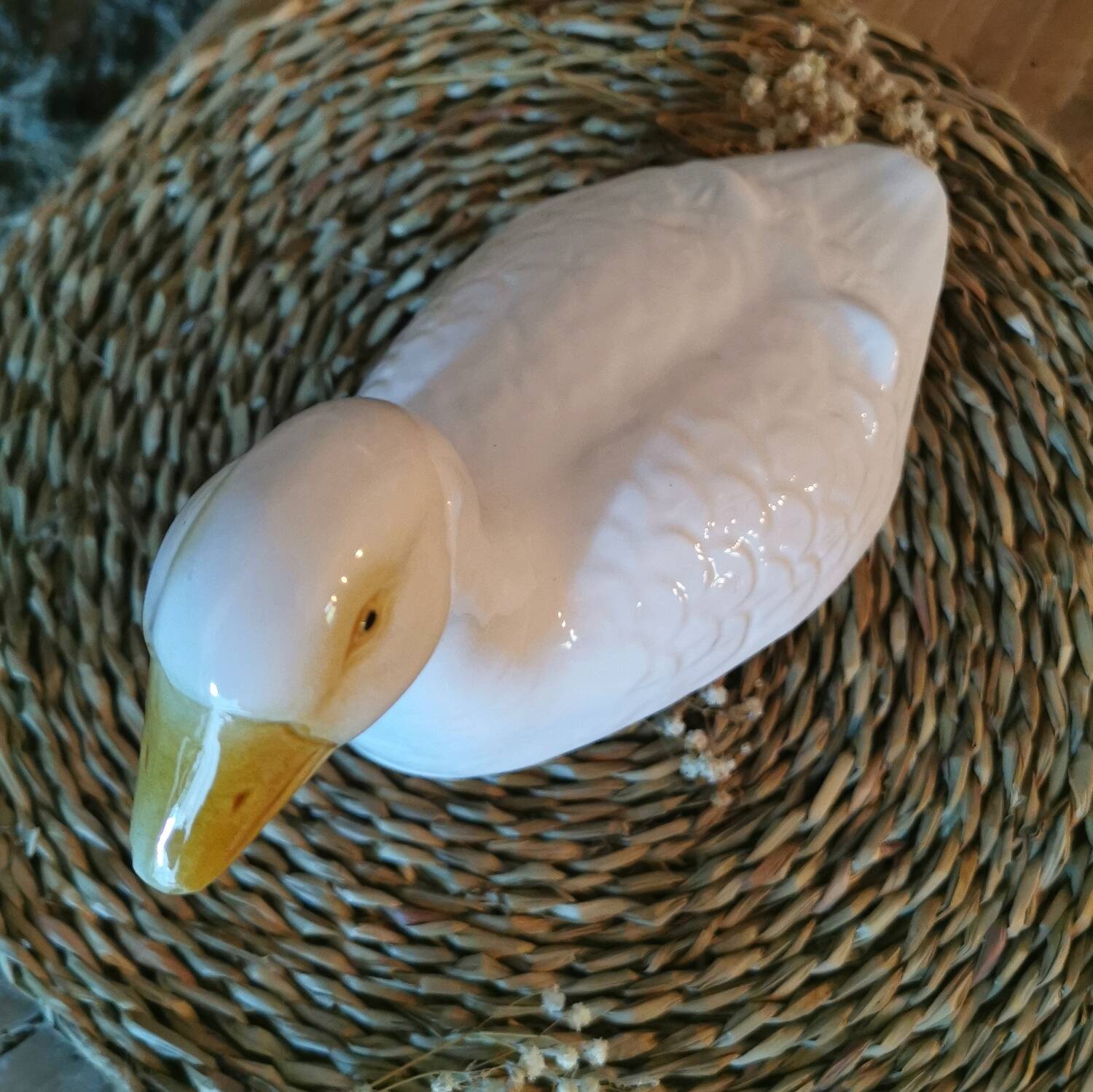 Barbotine Terrine White Goose Michel Caugant