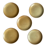 5 stoneware dessert plates from CNP village