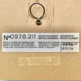 Deknudt Mirror - Vintage Rococo Mirror in Golden Resin - 1970s