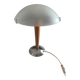 Mushroom lamp / liner ikea kvintol