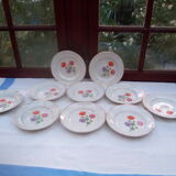 10 hollow plates Beaulieu / Moulin des loups