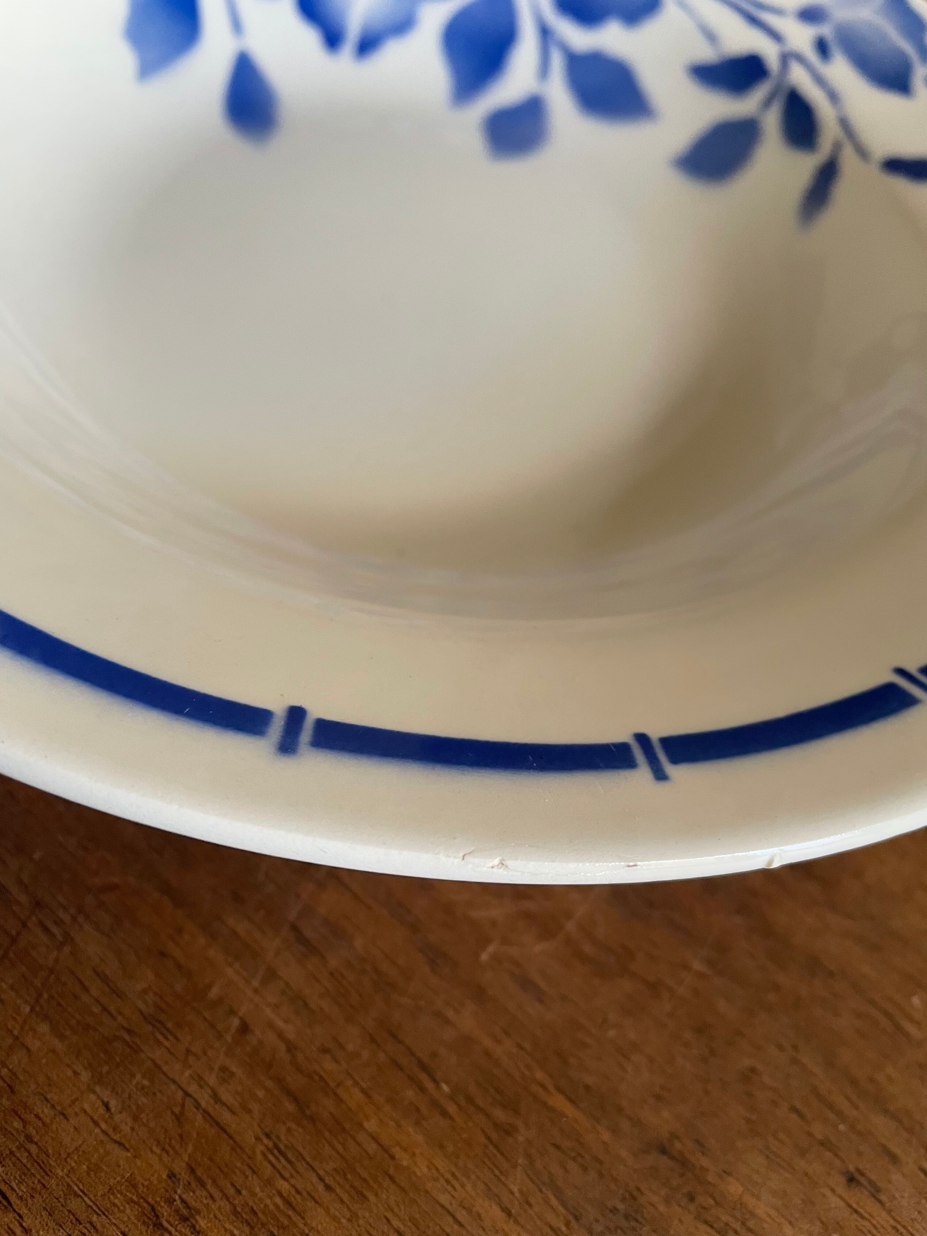 Hollow plates ceranord saint amand blue flower