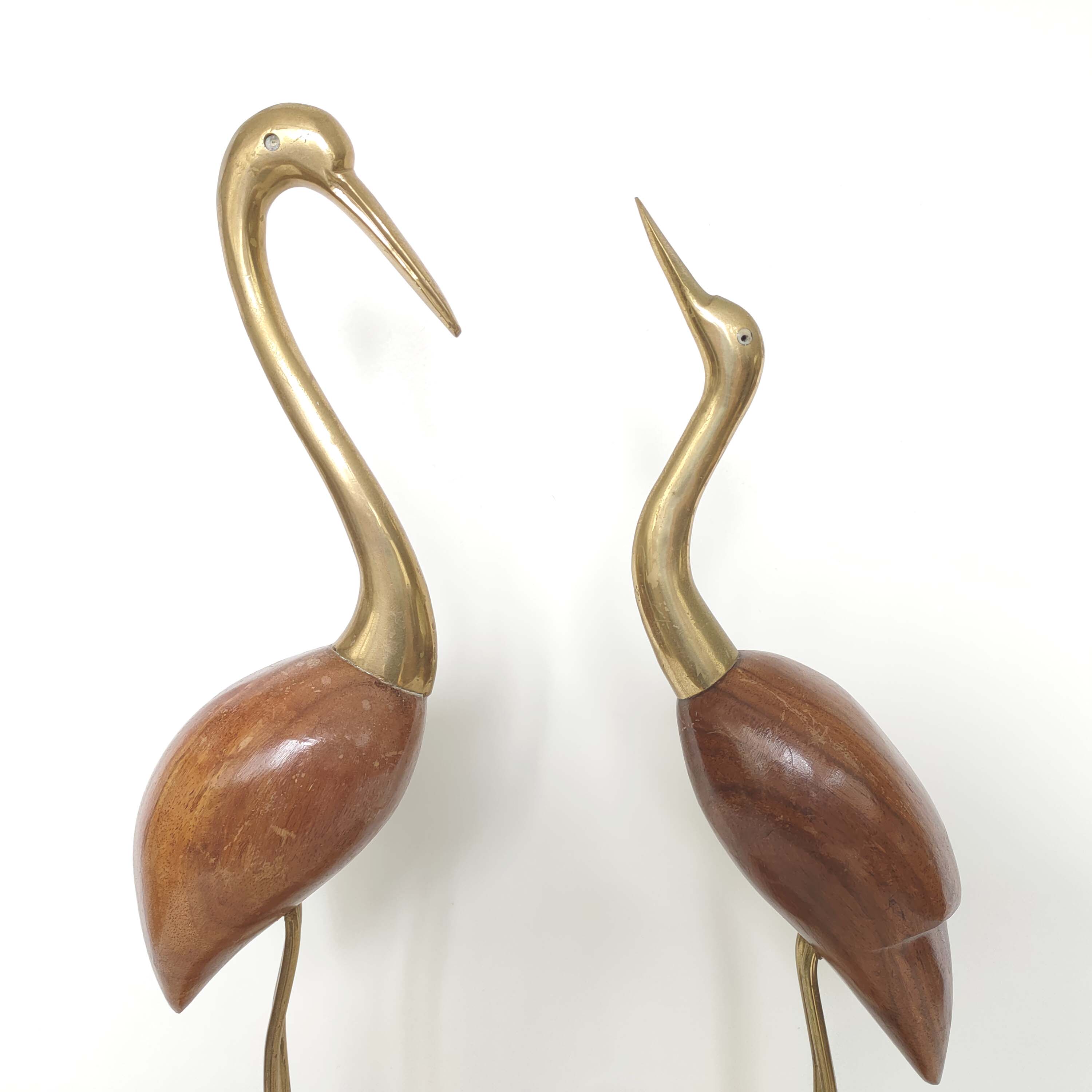 Couple blue herons and wood