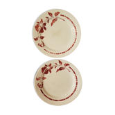 Lot of 2 plates Salins model Floréal