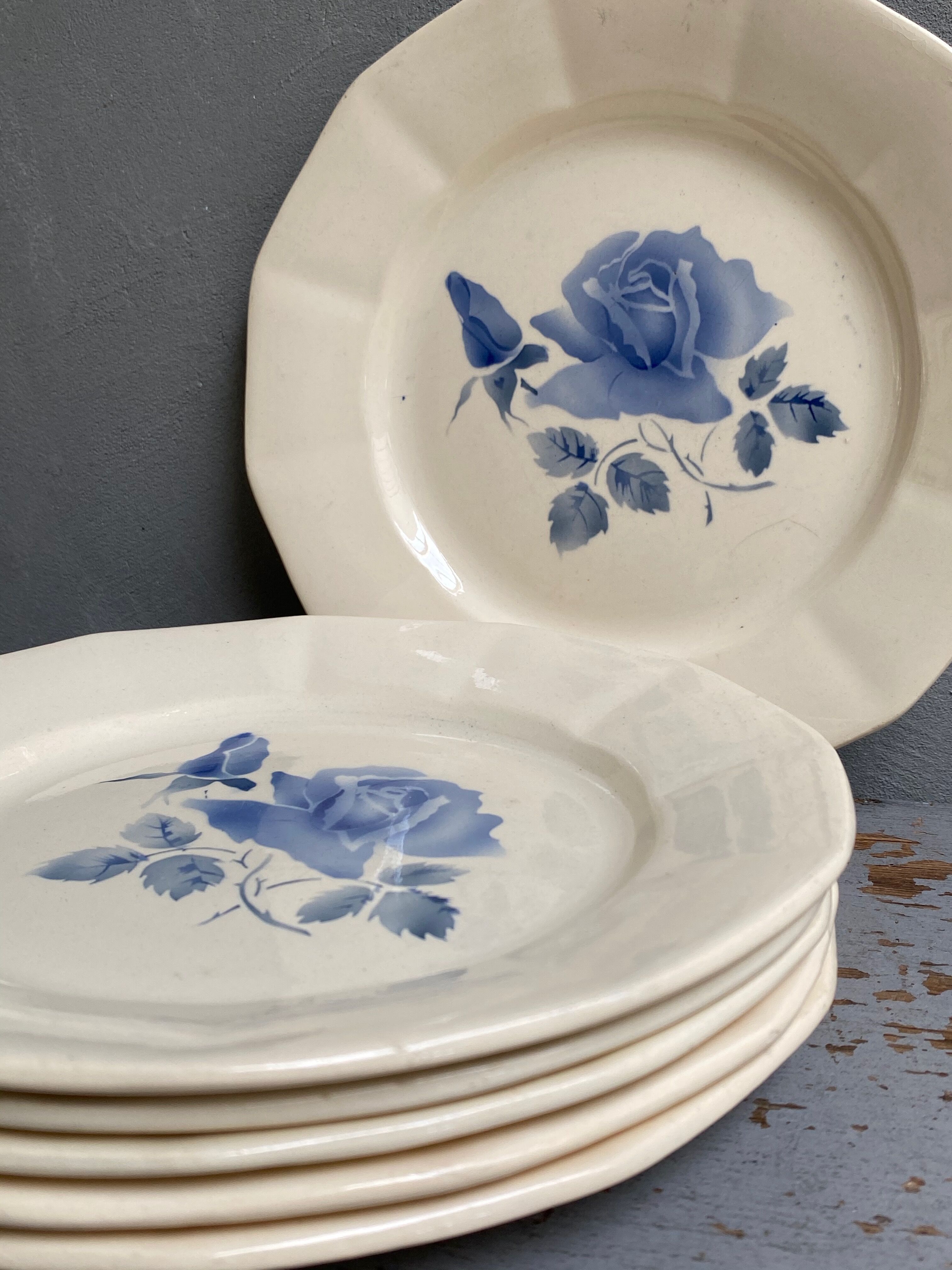 6 plates Digoin Sarreguemines