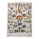Vintage lithograph plate vegetables and plants from the vegetable garden 1900