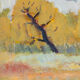 Forest Edge, Oil on Canvas, 44 x 36 cm