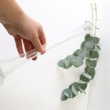 Transparent glass soliflore