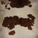 Tanned calf skin
