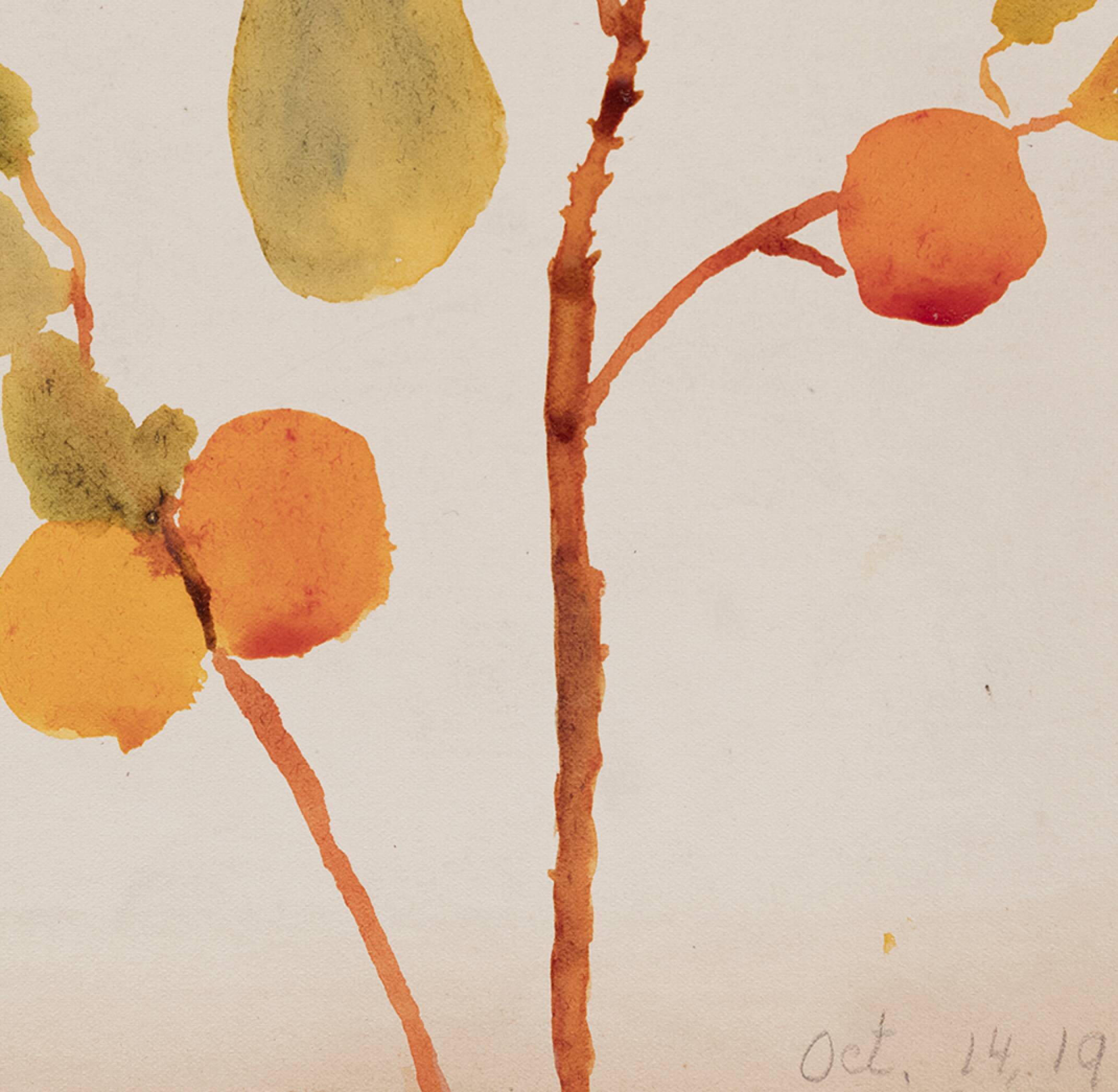 Watercolor illustration flowers