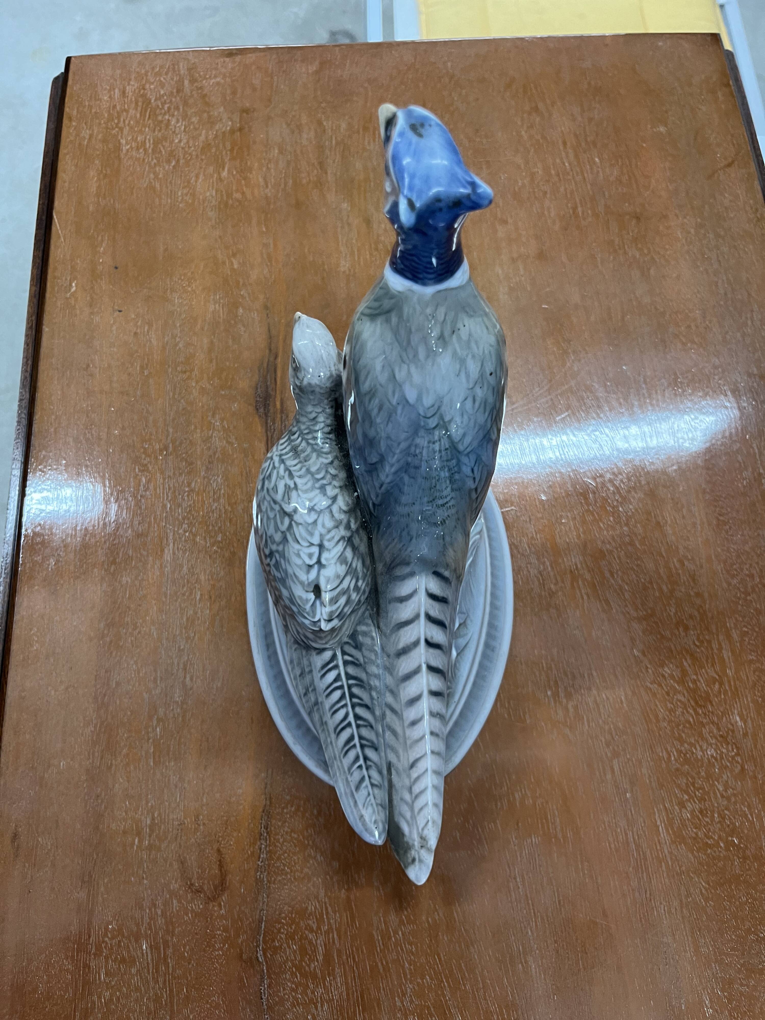 oiseaux royal Copenhague