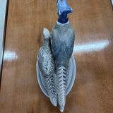 oiseaux royal Copenhague
