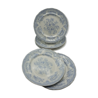 Plates in English earthenware