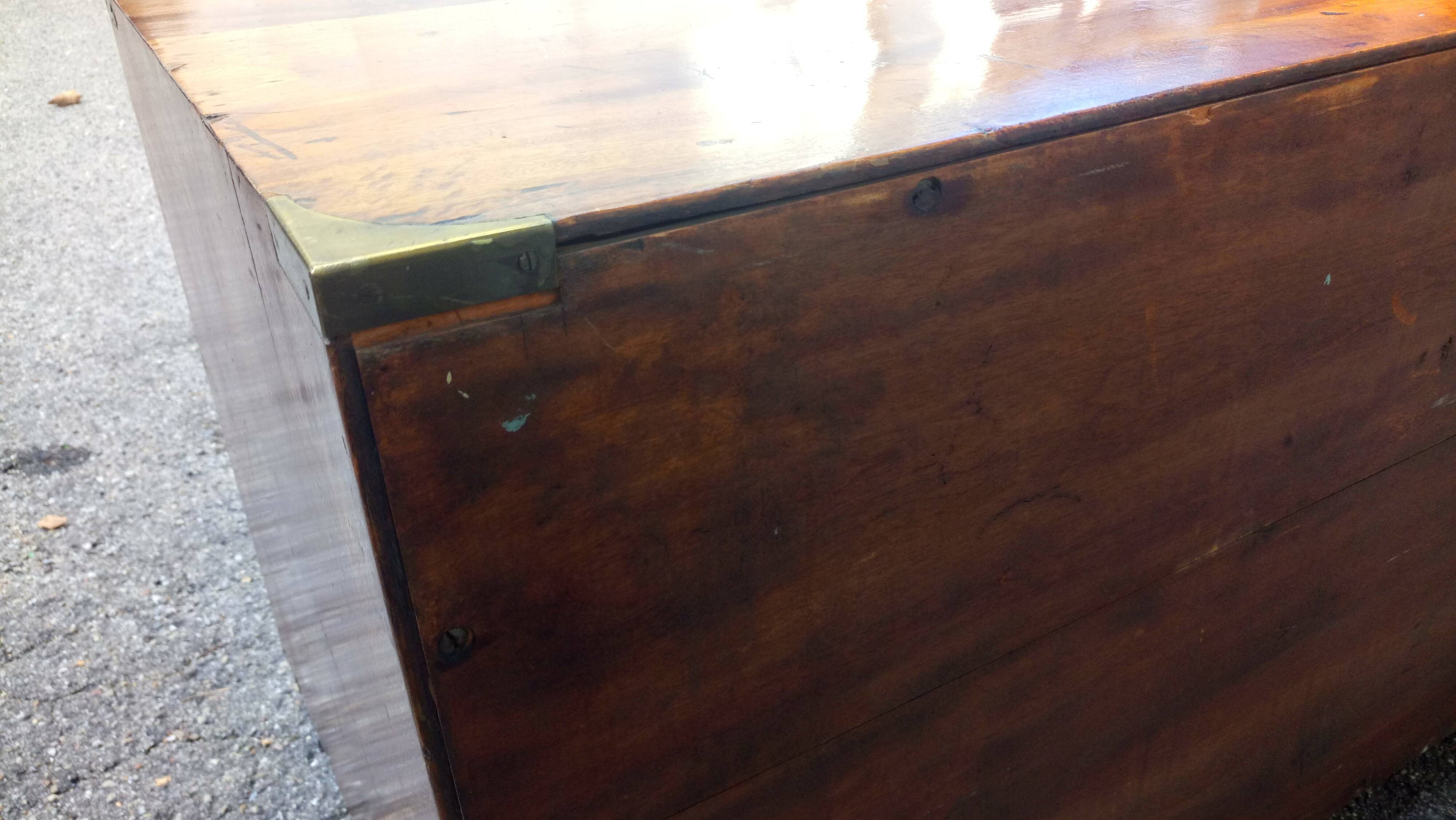 19th century Louis Philippe navy chest in camphrier laughed