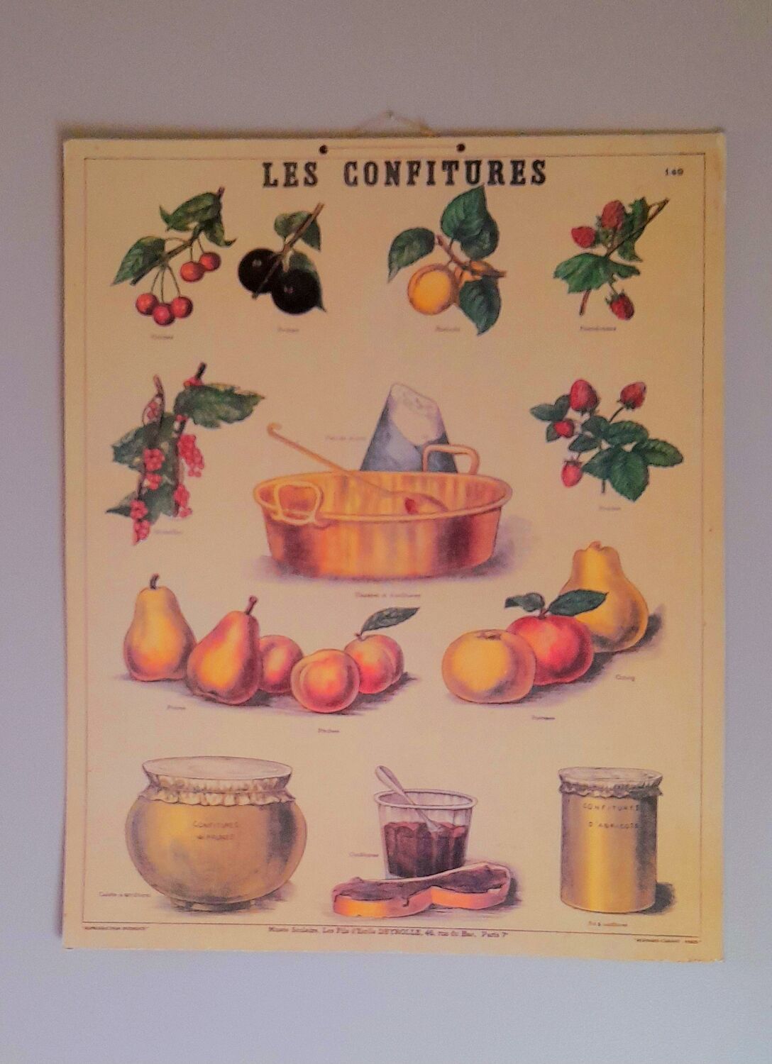 Deyrolles poster 'jams'