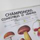 Large school poster MDI double-sided Edible and Poisonous Mushrooms 1979