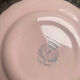 4 Salins pink flat plates