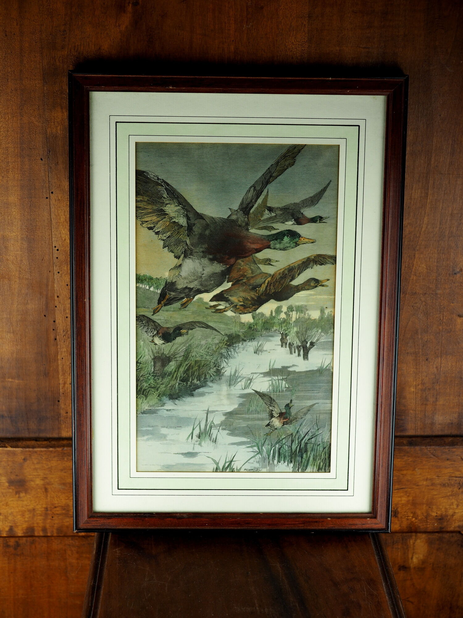 Flight of ducks, marshes and tetard willows - chromolithography Jules Habert-Dys - 1880